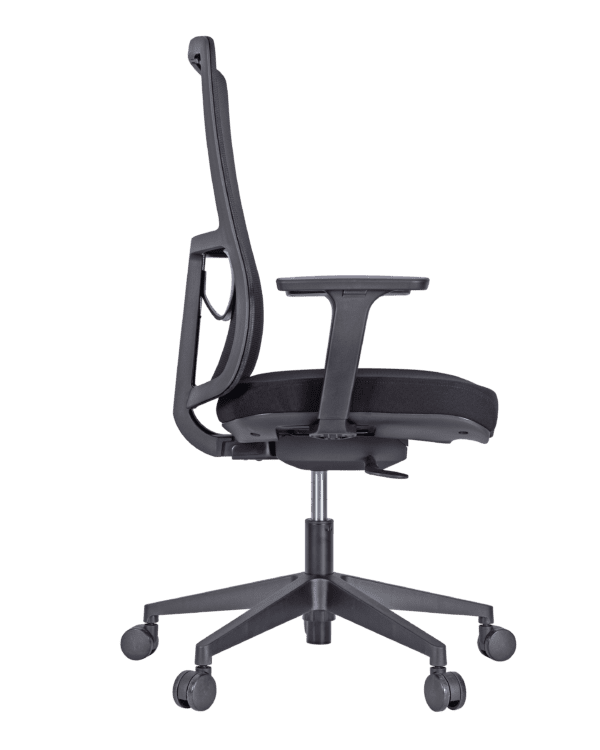 Ashton - Image 6