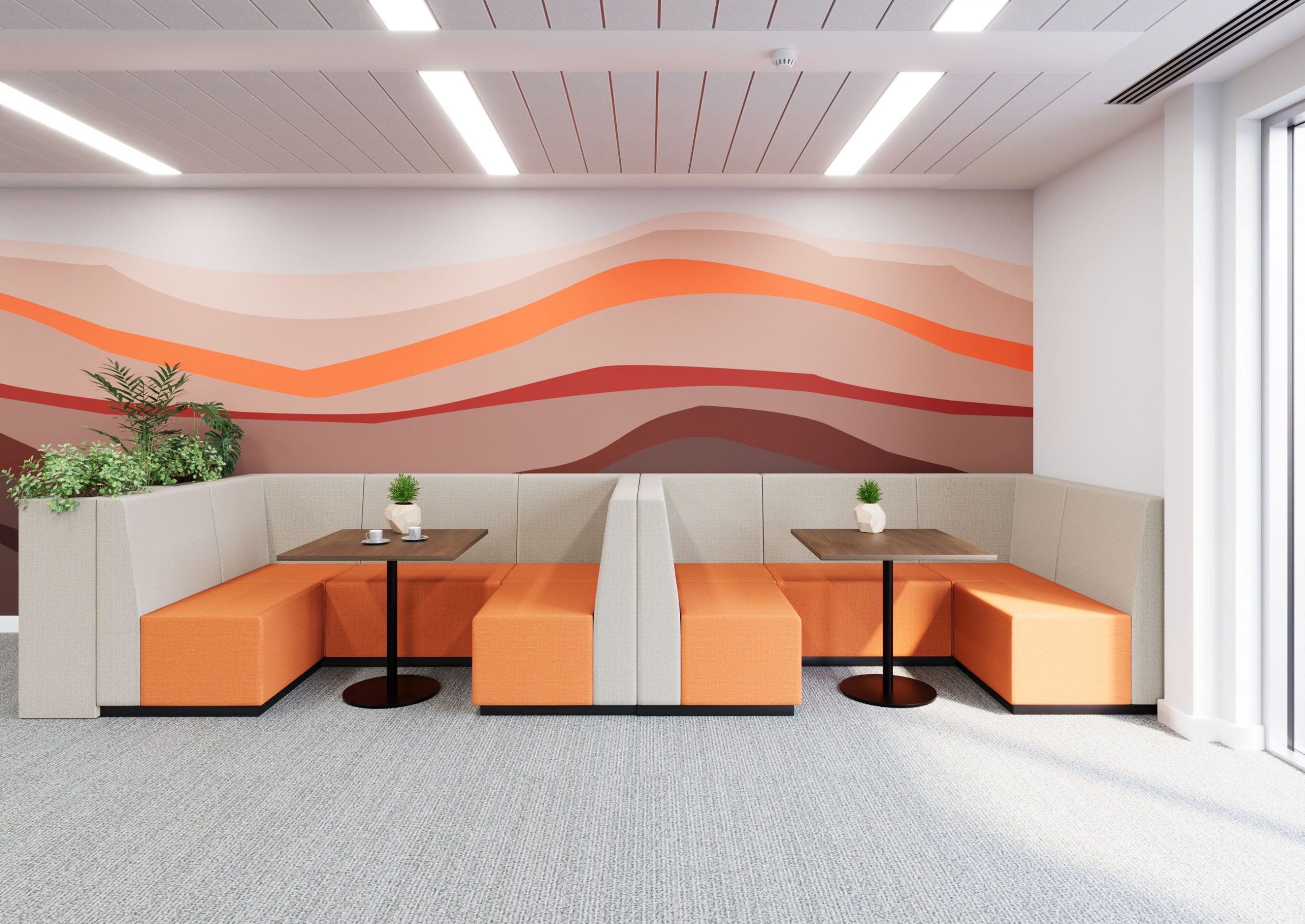 The Banq - Medium - Image 5